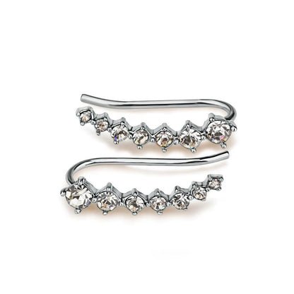 RoséLuxe™ Zircon Drop Hook Earrings – Pure Elegance in Every Sparkle